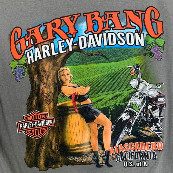 Harley Davidson 2009 gray T-shirt with two looks - Picture 4 of 8